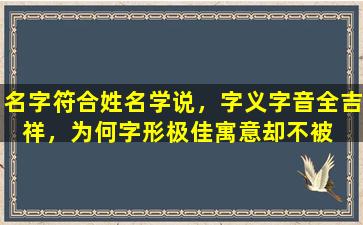 名字符合姓名学说，字义字音全吉祥，为何字形极佳寓意却不被  看好